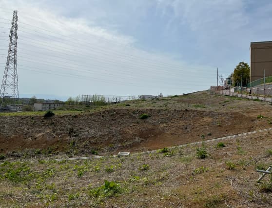 複雑な条件にも柔軟に対応